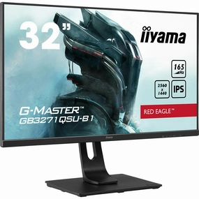 iiyama G-Master GB3271QSU-B1 32" 165Hz IPS Display