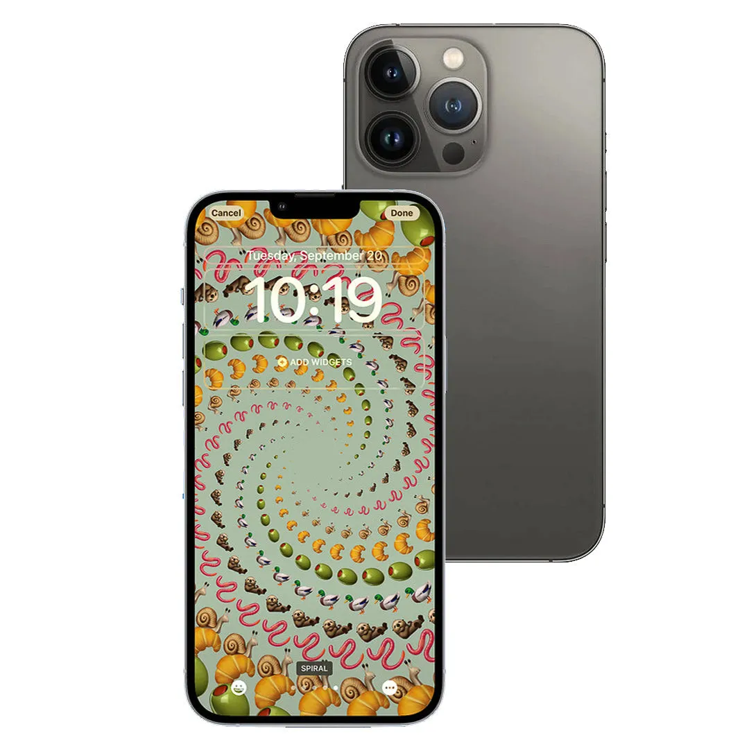 iPhone 13 Pro Max 256GB